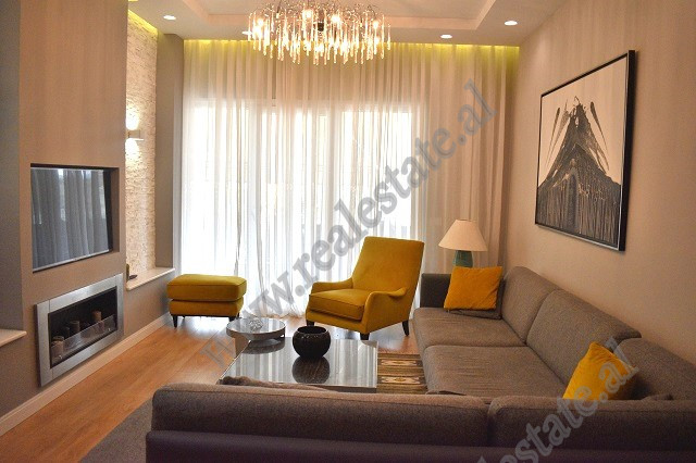 Modern two bedroom apartment for rent at Botanic Garden in Tirana, Albania